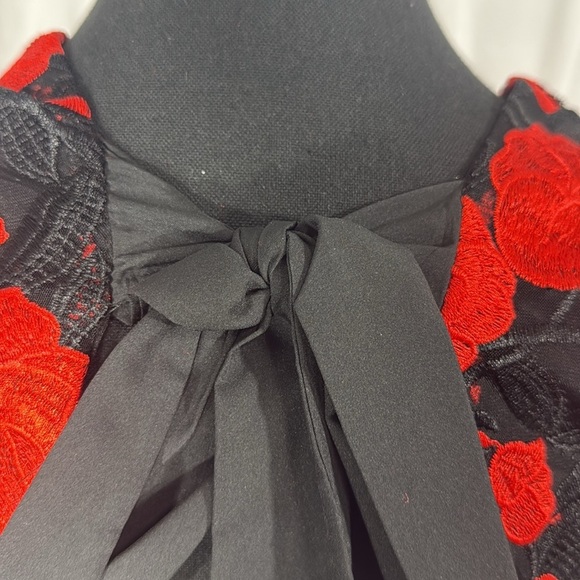 SAM EDELMAN BLACK RED ROSE EMBROIDERED MINI DRESS SIZE 6 - Picture 11 of 12